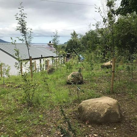An Bothan-Cosy Cottage In The Cooley Mountains Dundalk Eksteriør billede