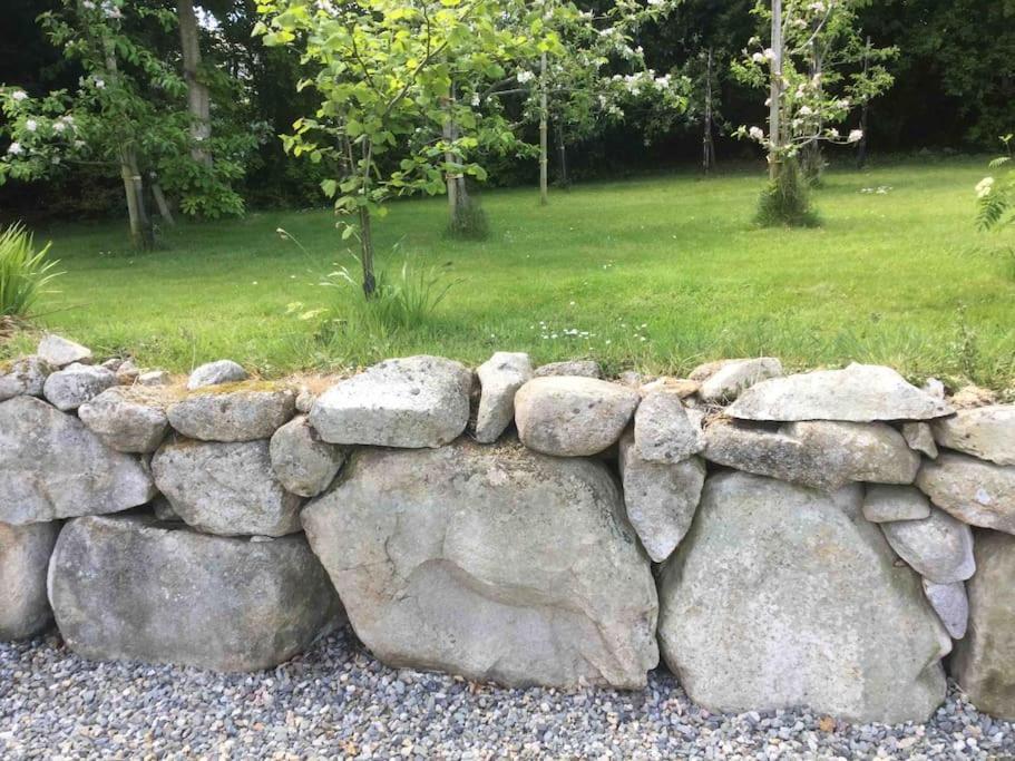 An Bothan-Cosy Cottage In The Cooley Mountains Dundalk Eksteriør billede