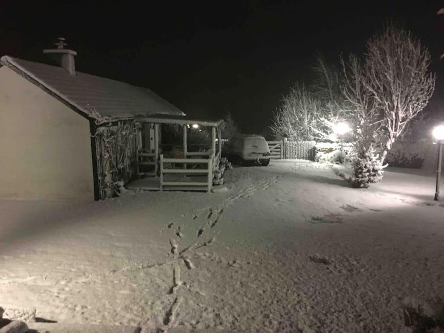 An Bothan-Cosy Cottage In The Cooley Mountains Dundalk Eksteriør billede